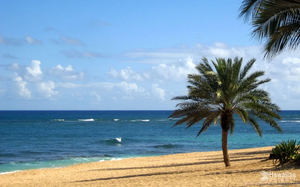 Free Hawaii Desktop Wallpapers Wallpapers Cave