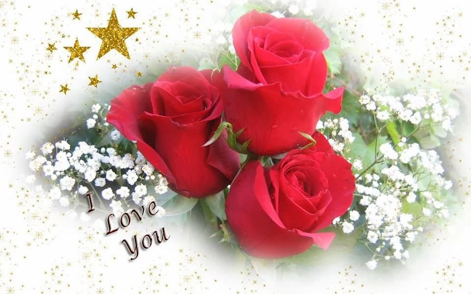 Nice wallpaper image of i love you.jpg