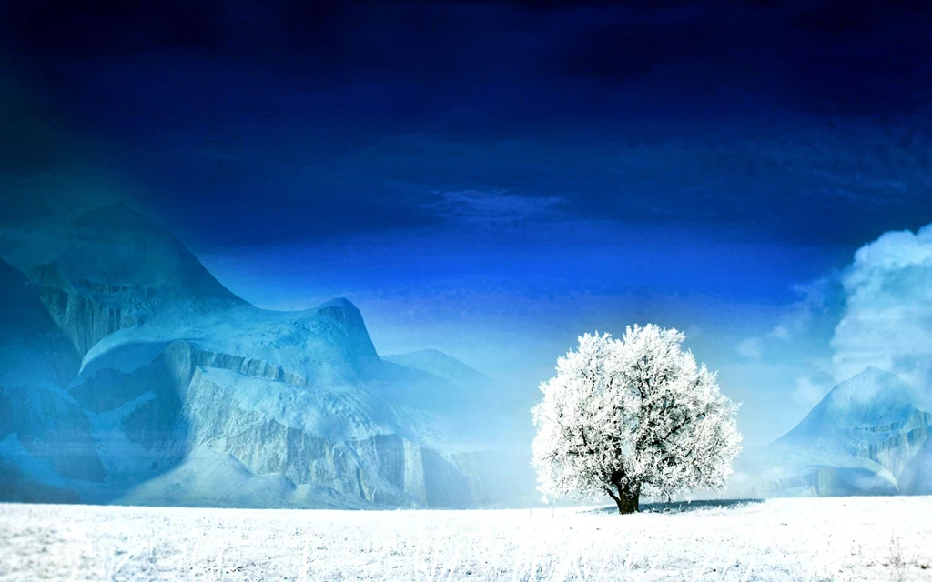 Snow Tree Wallpapers Hd.