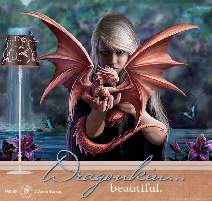Anne Stokes Full Wall Murals Wicked Walls