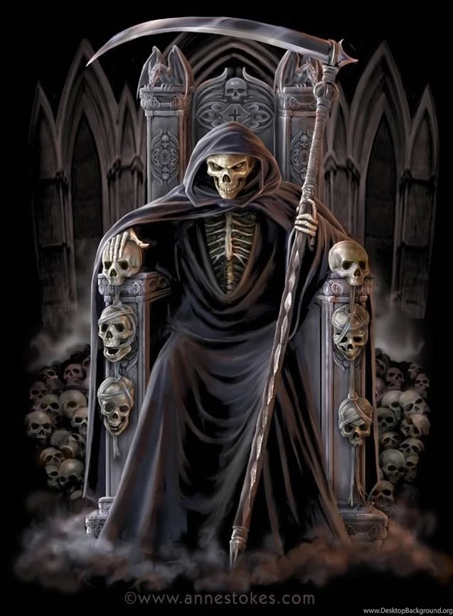Anne Stokes
