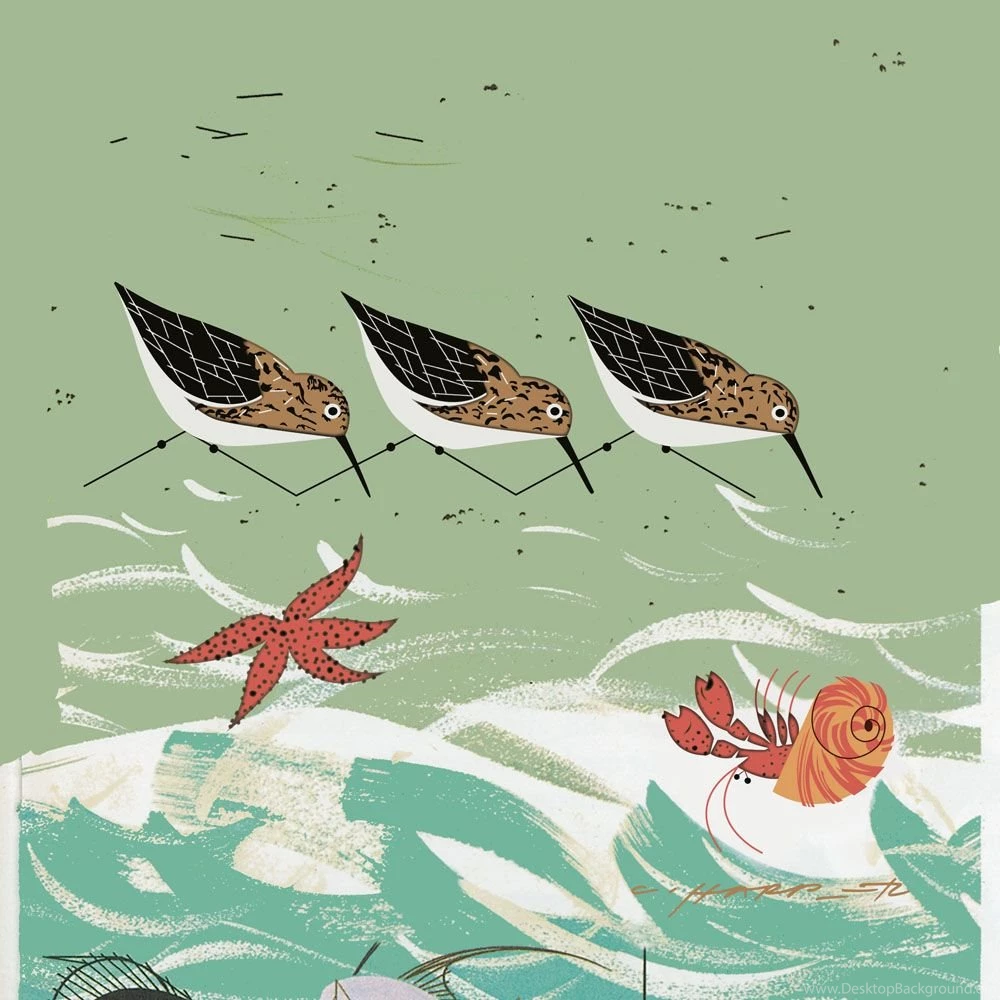 Charley Harper Wall Murals