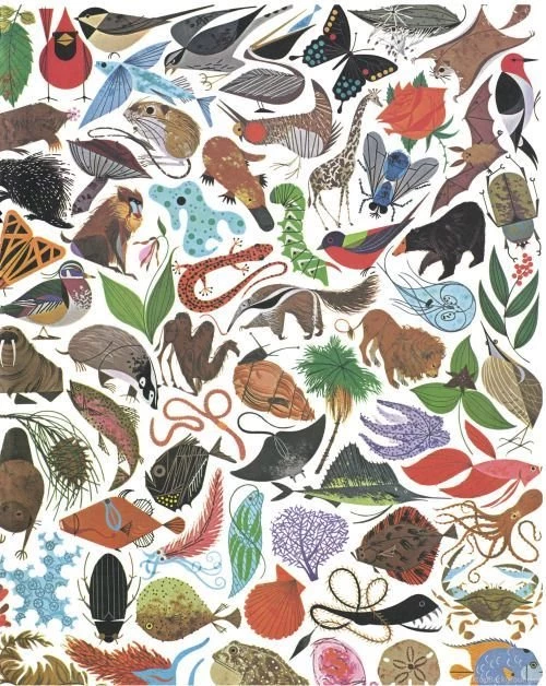 Charley Harper