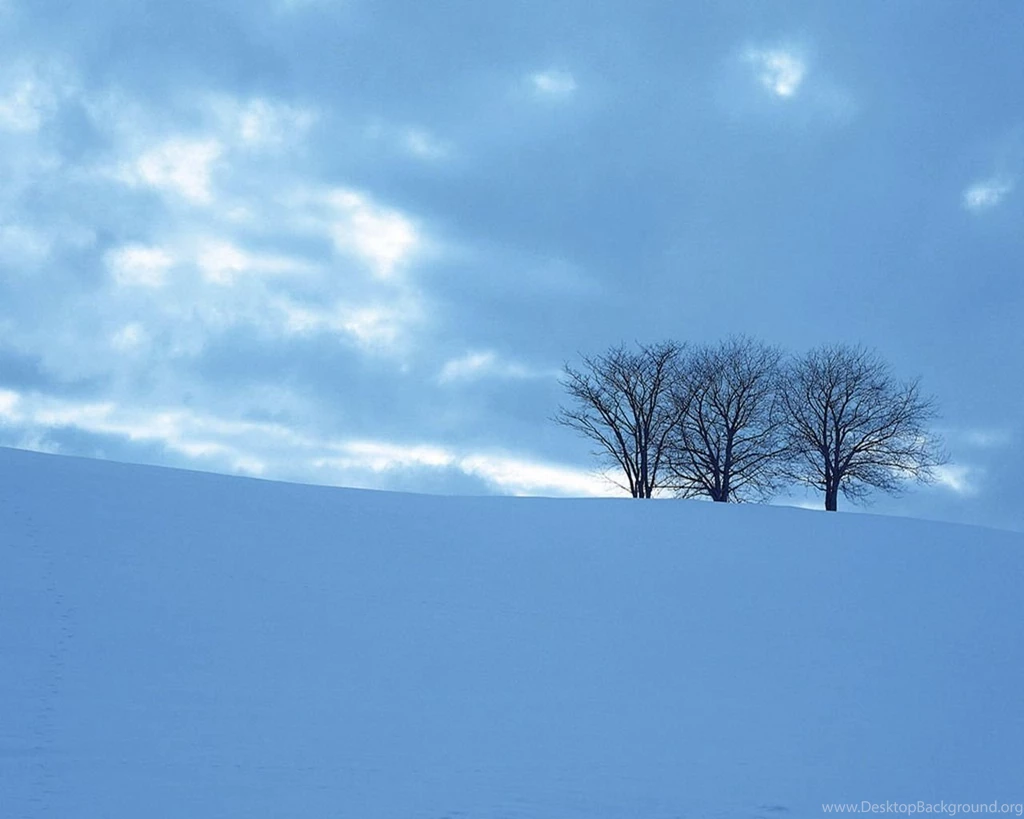 Snow Tree Wallpapers Wallpapers