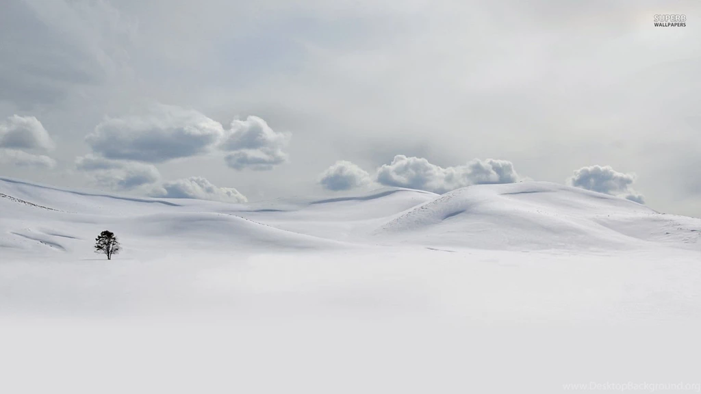 Lonely Tree In The Snow Wallpapers Nature Wallpapers