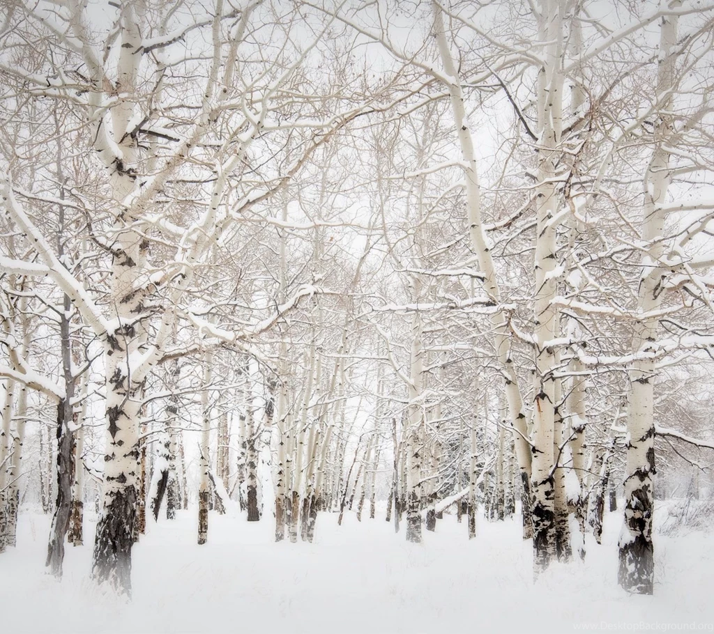 HTC One X Stock Wallpapers 15.jpg