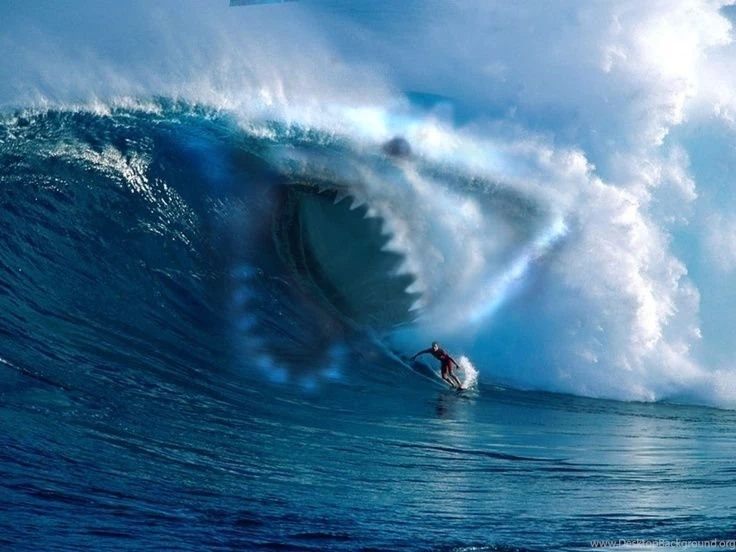Shark Attack (Photoshop) If They Were This Big No one Would Go ...