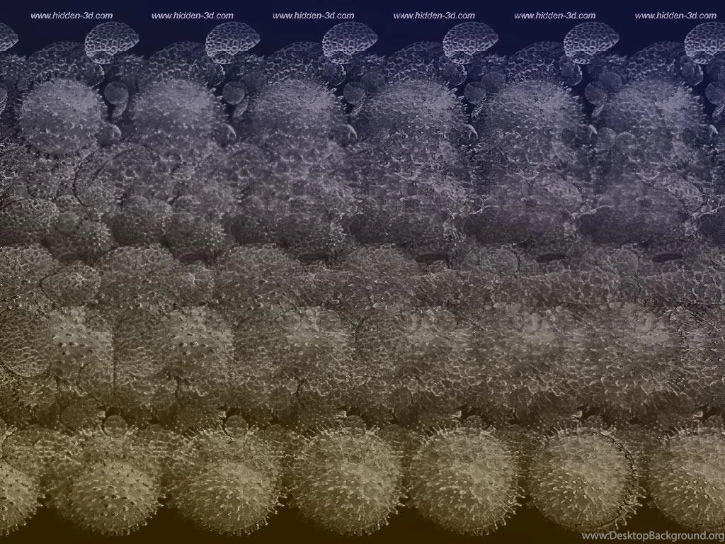 Wallpapers Stereogram Eye Inc Creators Of The World Wide Craze S ...