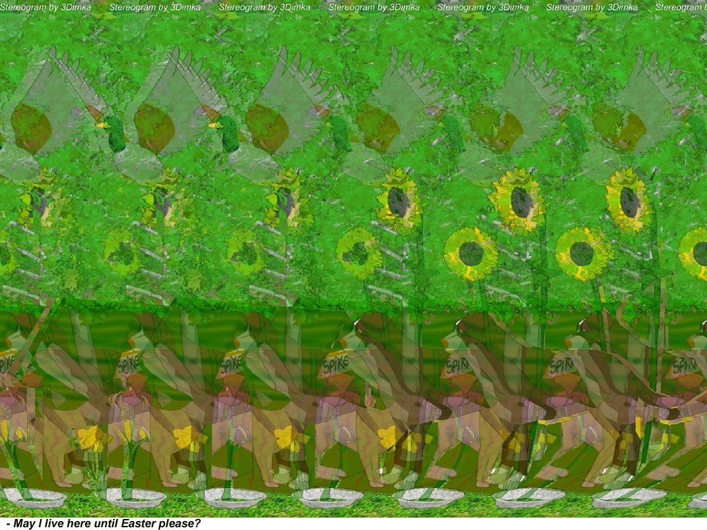 Stereograms On Pinterest