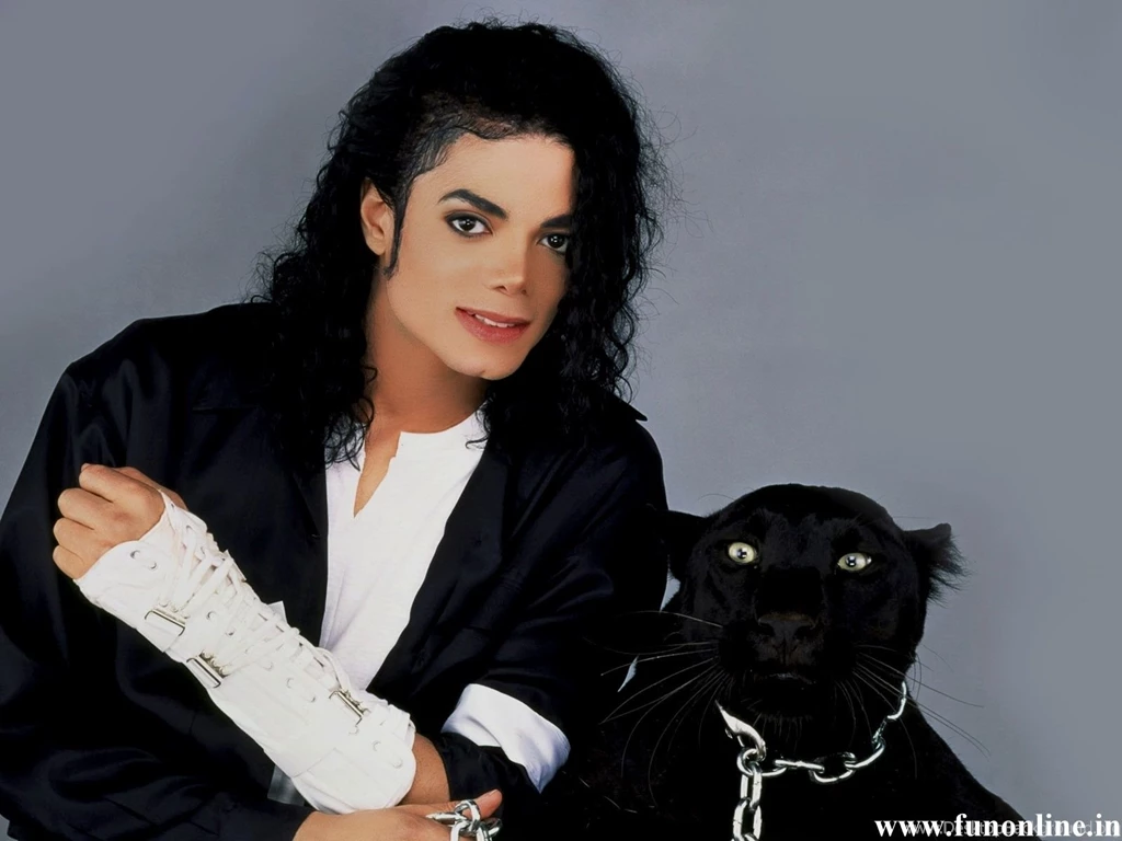 Panther Wallpapers, Download Free Black Panthers HD Wallpapers