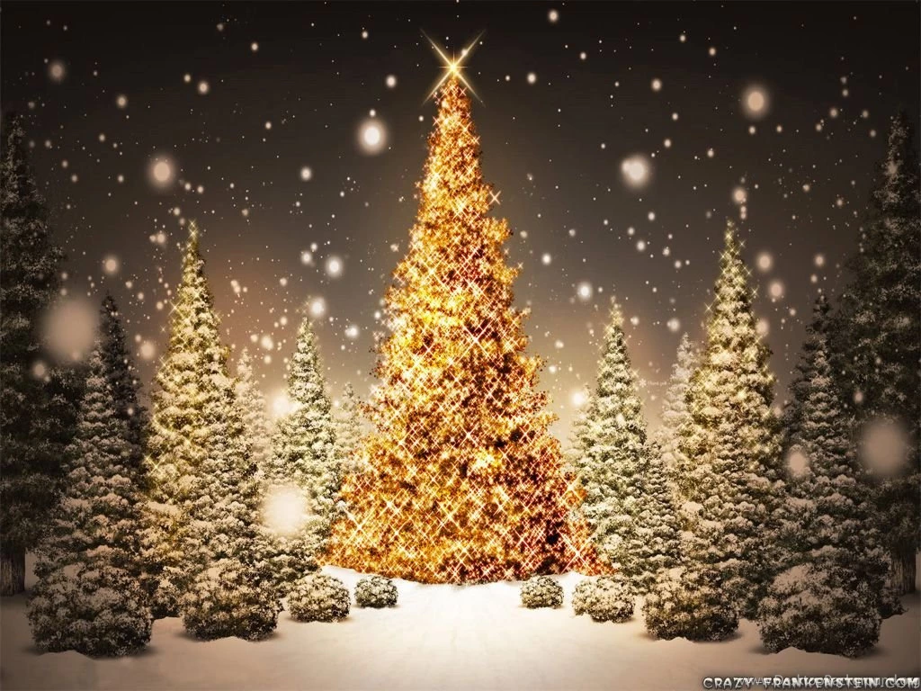 Christmas Tree Funny And Amazing Wallpapers.