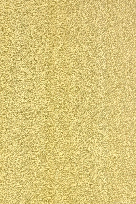 Abacos Ray Vinyl Wallpapers Metallic Gold