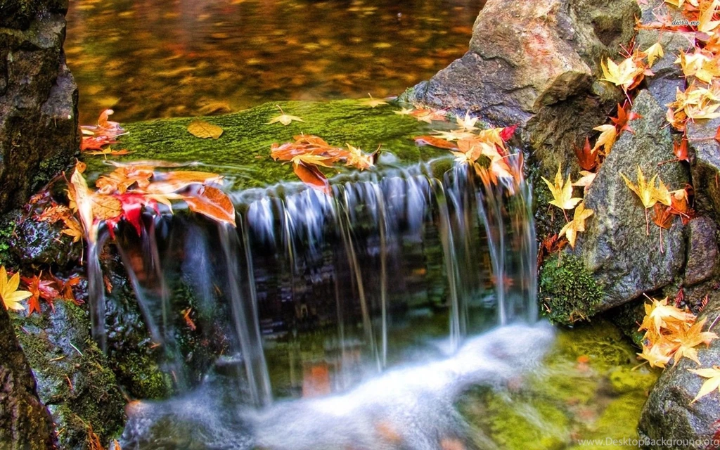 Small Waterfall Wallpapers Nature Wallpapers