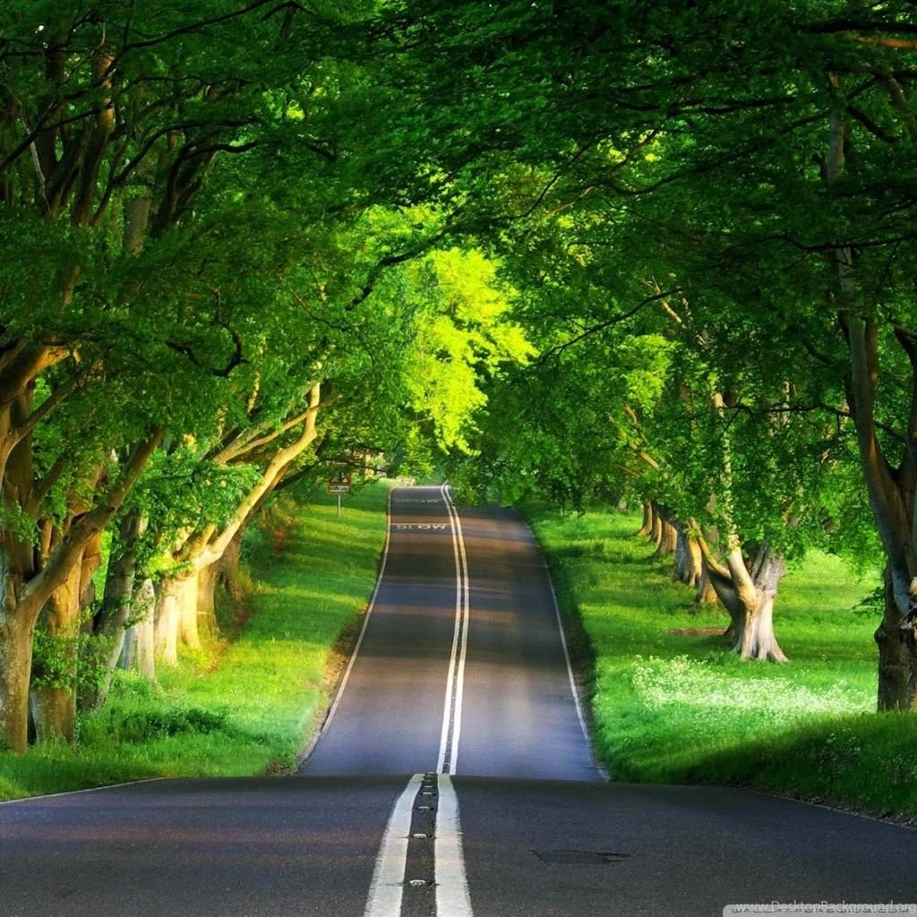 Summer High Quality Wallpapers 13948 HD Wallpapers Site
