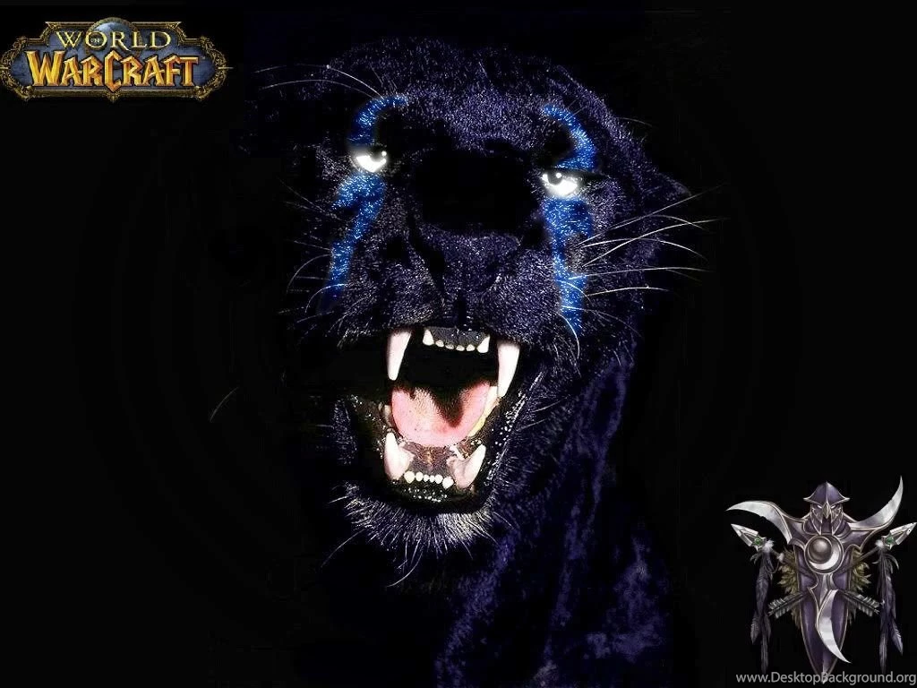 Druid Nightelf Wallpapers Photo By Gigitcute