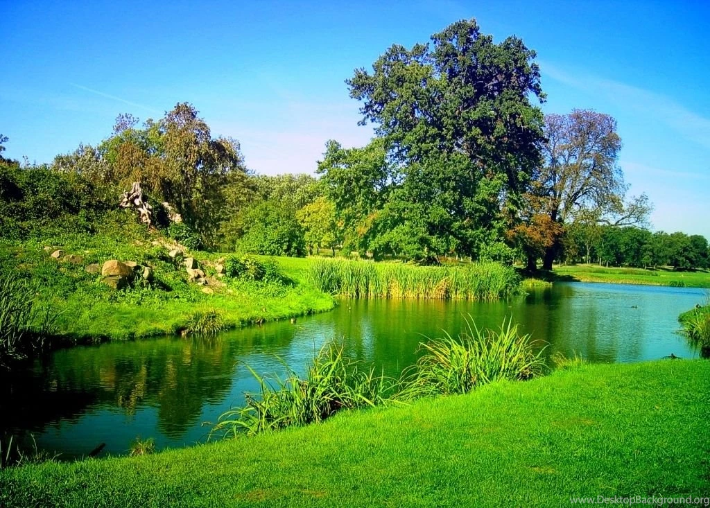 High Resolution Nature Wallpapers Free Download