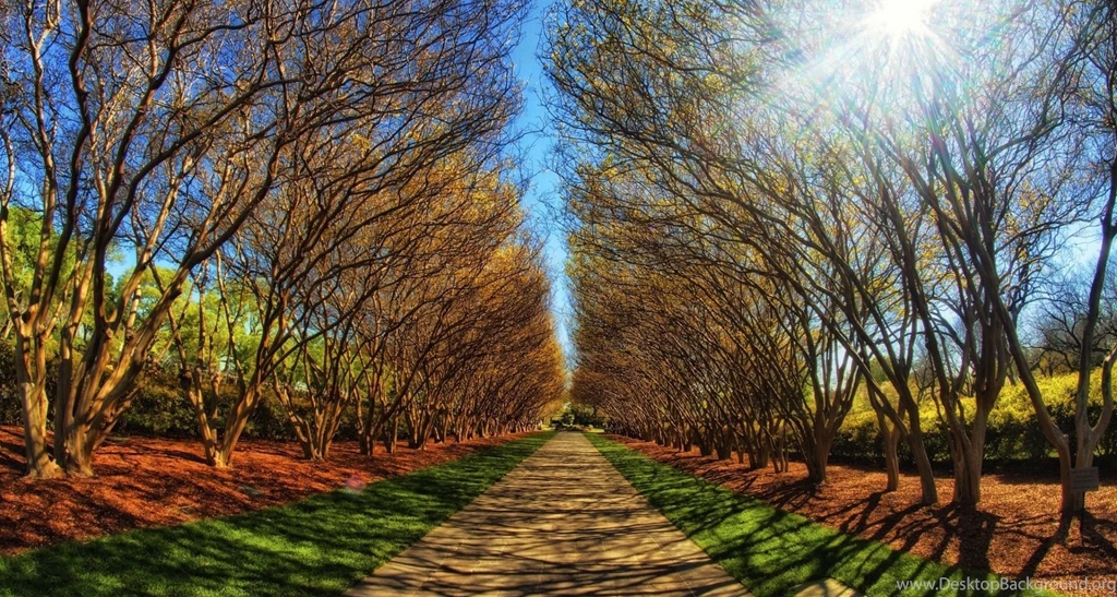 Hd Wallpapers, Nature Images, Free Download Images, Green, Life ...