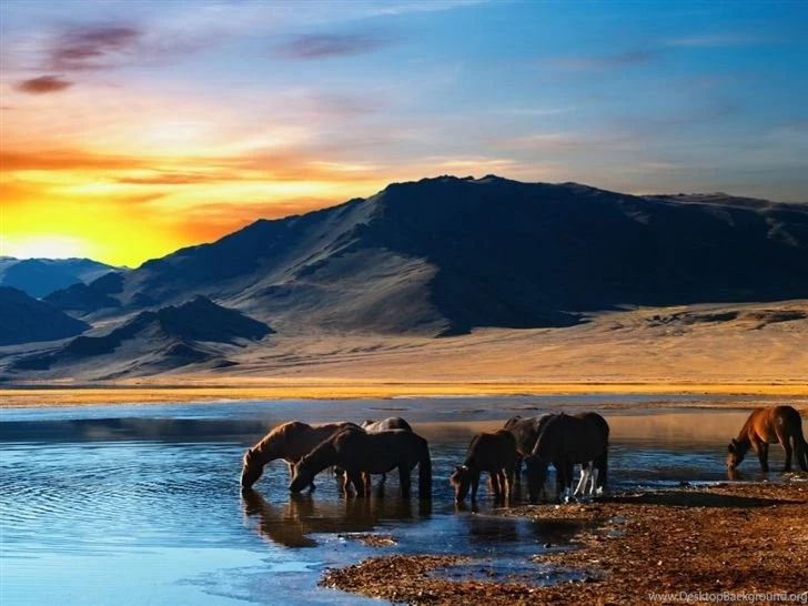 Amazing Scene With Horses Mac Wallpapers Download