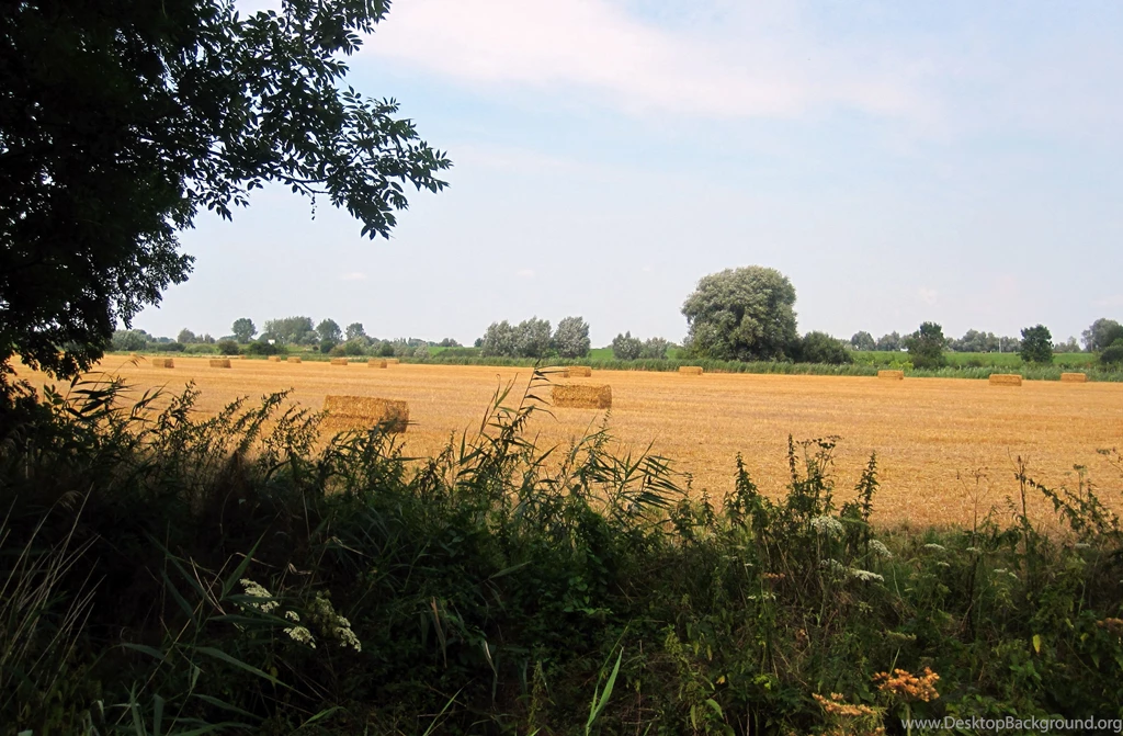 Amazing Views, Cool Nature Photos, Nature Wallpapers For Samsung ...