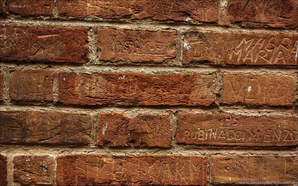 Wall Moss Brick Pattern Wallpapers