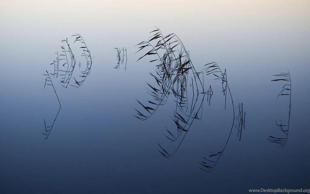 Snow Leopard Default Wallpapers 2015   Grasscloth Wallpapers