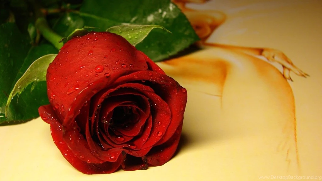 Rose day photos.jpg