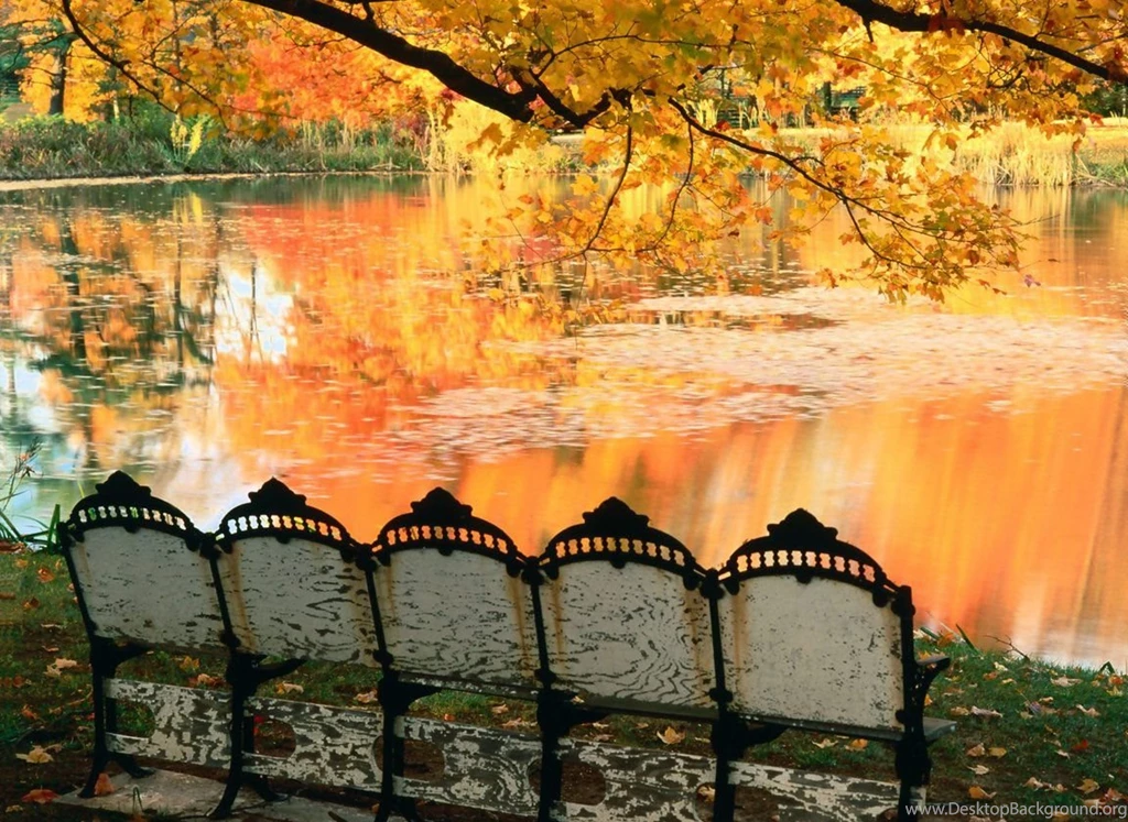 Trololo Blogg: Wallpapers Louisville Kentucky