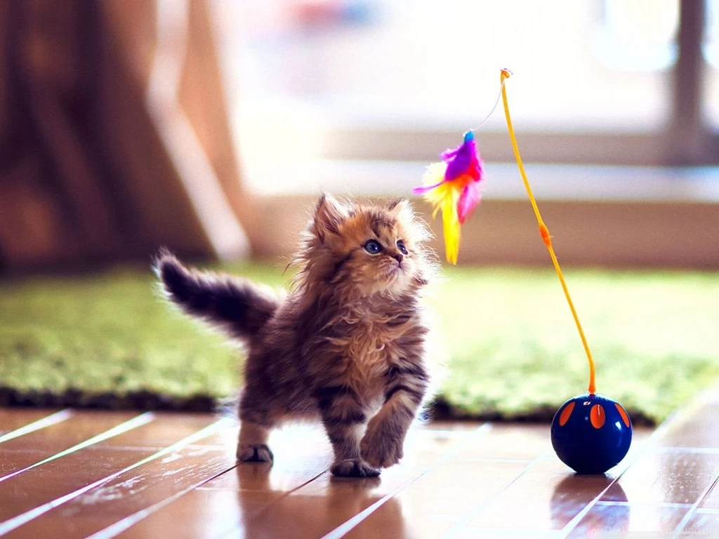 100+ Beautiful Cute Windows 8 HD Wallpapers