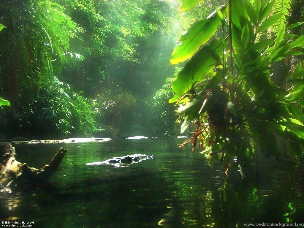 Latest Wallpapers Of Nature Wallpapers HD Wide
