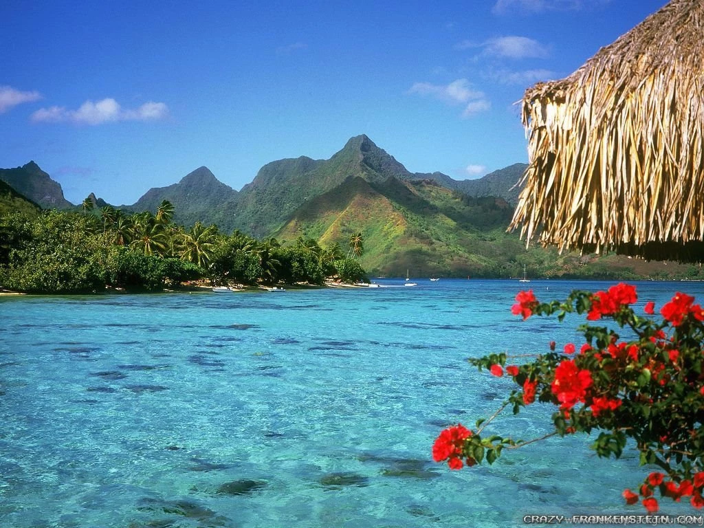 Bora Bora Wallpapers 2 Crazy Frankenstein