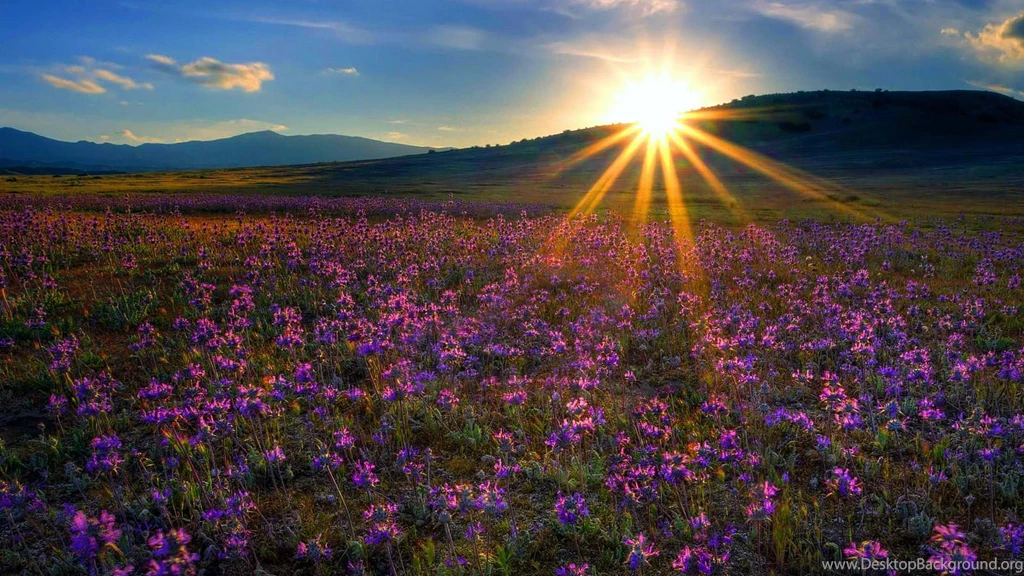 Sunburst Desktop Wallpapers ~ Toptenpack.com