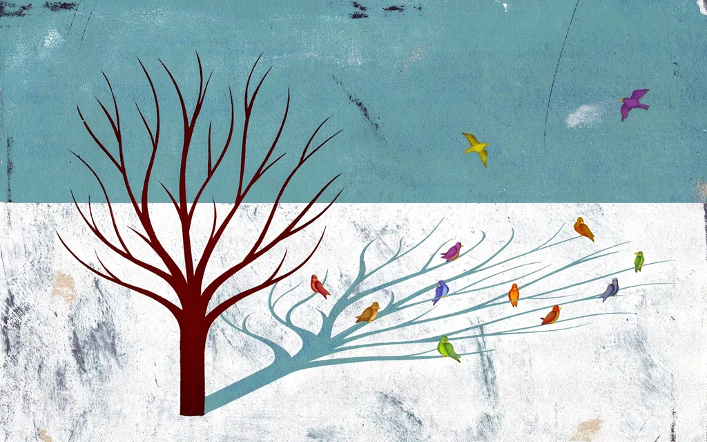 2 Broken Social Scene HD Wallpapers