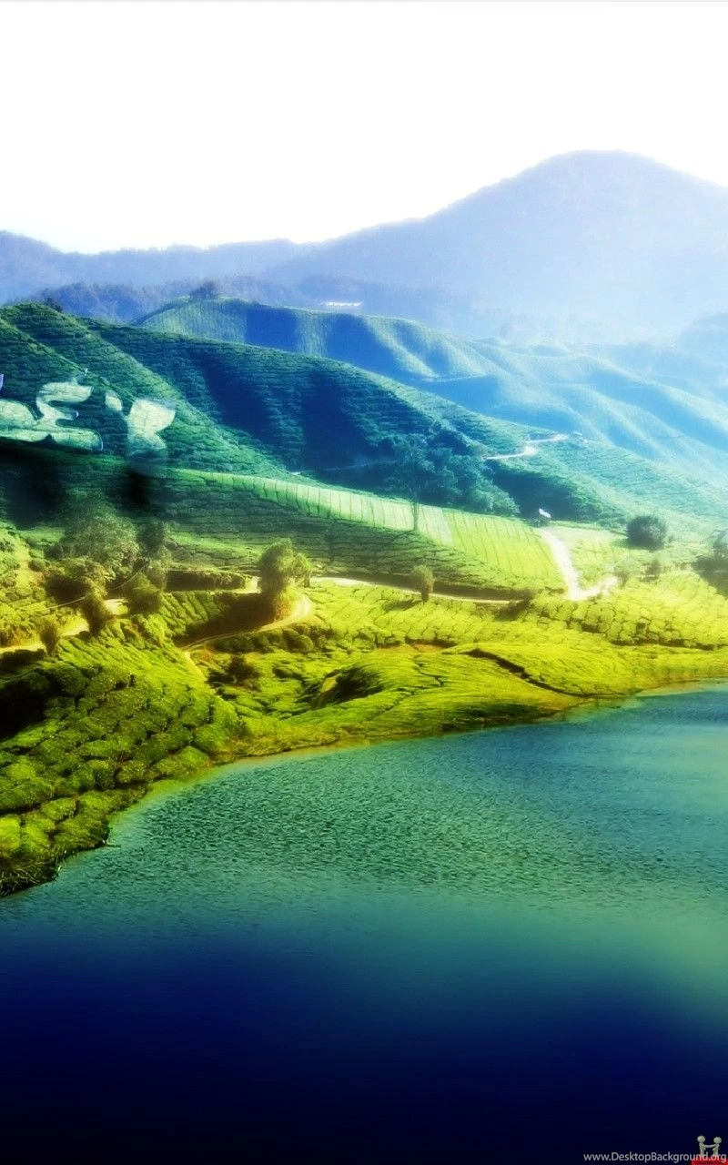 3D Animated Beautiful Samsung Note Mobile Wallpapers