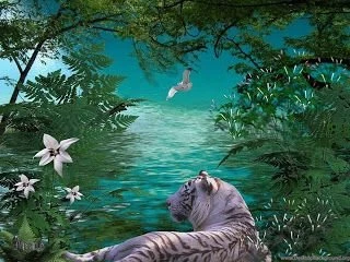 Tiger Wallpapers: Beautiful Tiger Wallpapers