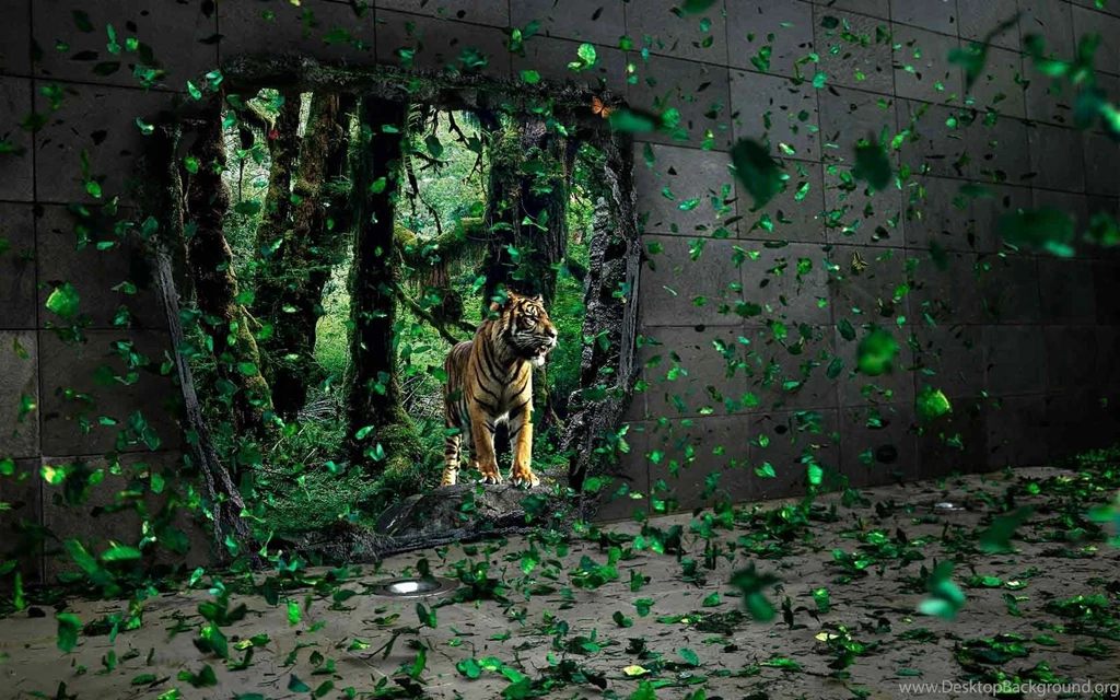 Tiger Wallpapers Full Hd   HD Wallpapers Pretty