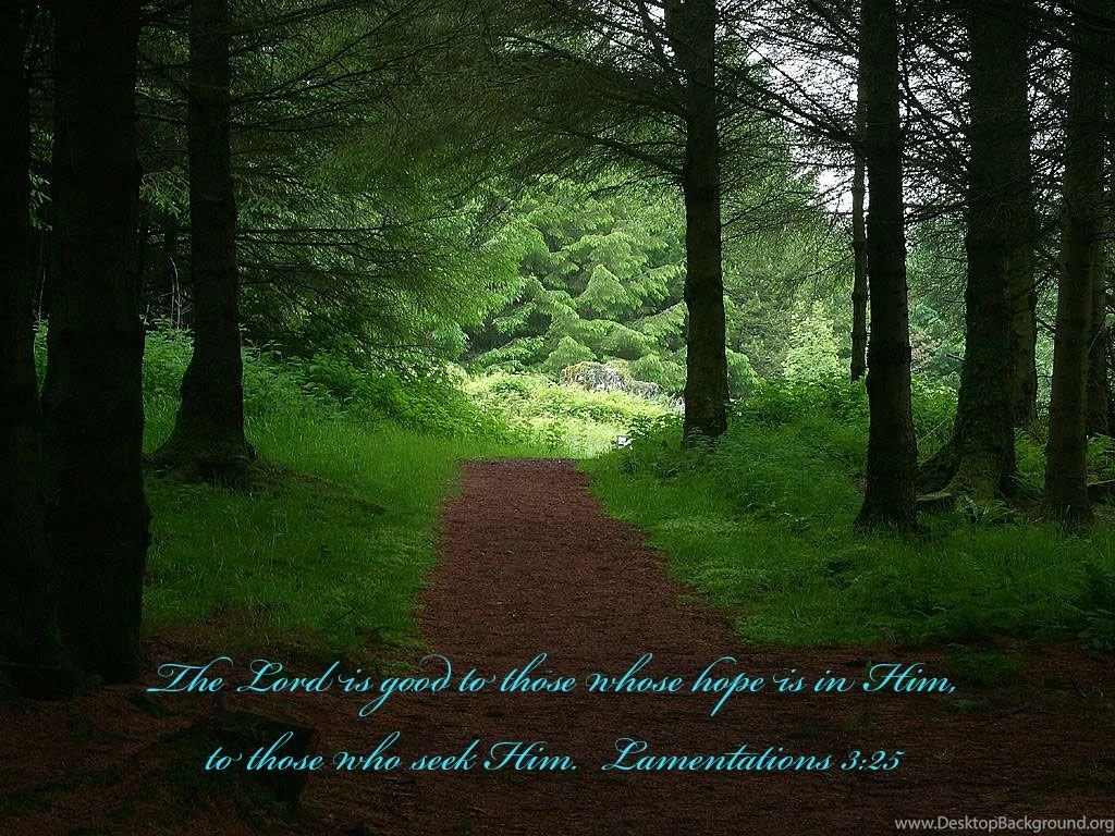 Lamentations 3:25 God Is Good Wallpapers Christian Wallpapers ...
