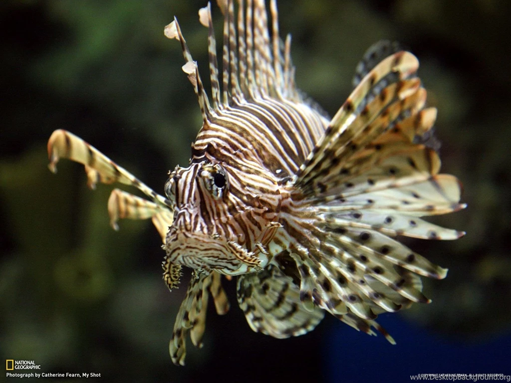 24291_1600x1200 wallpaper cb1287691797.jpg