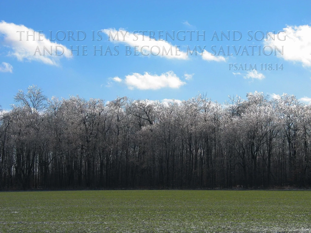 Free christian wallpaper ice trees.jpg