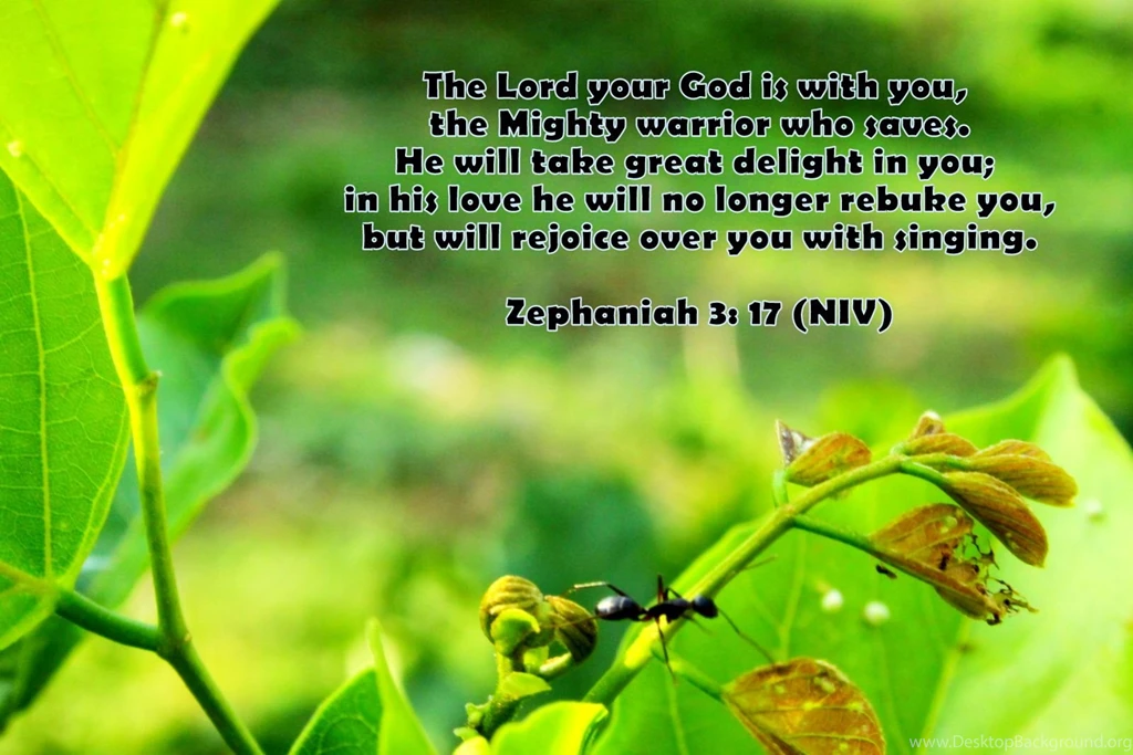 Zephaniah 3: 17