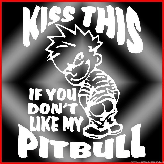 Pitbull Graphics And Comments