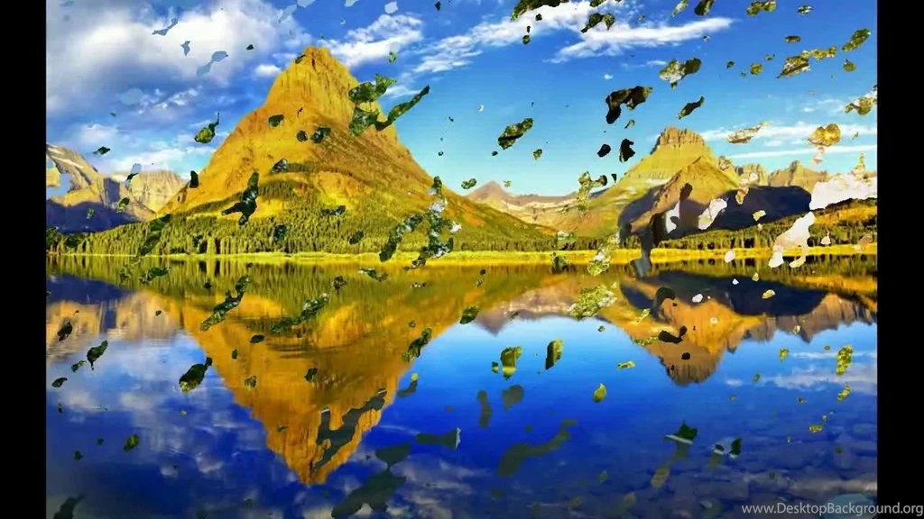 Bipasha Basu Hot HD Wallpapers, Free Download Sexy Bikini Images ...