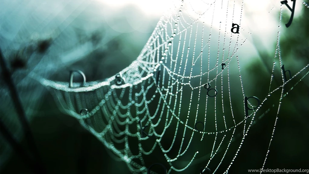 1920x1080px Best Wallpapers Hd Cobweb