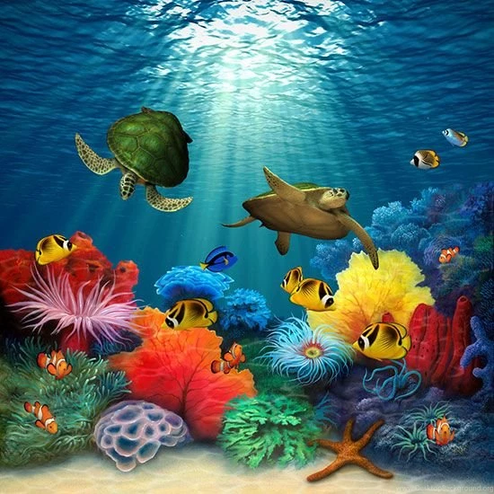 Sea Turtls Murals & Turtle Scene Wallpapers
