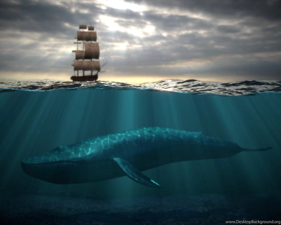 Underwater Scene 2 By DeargRuadher On DeviantArt