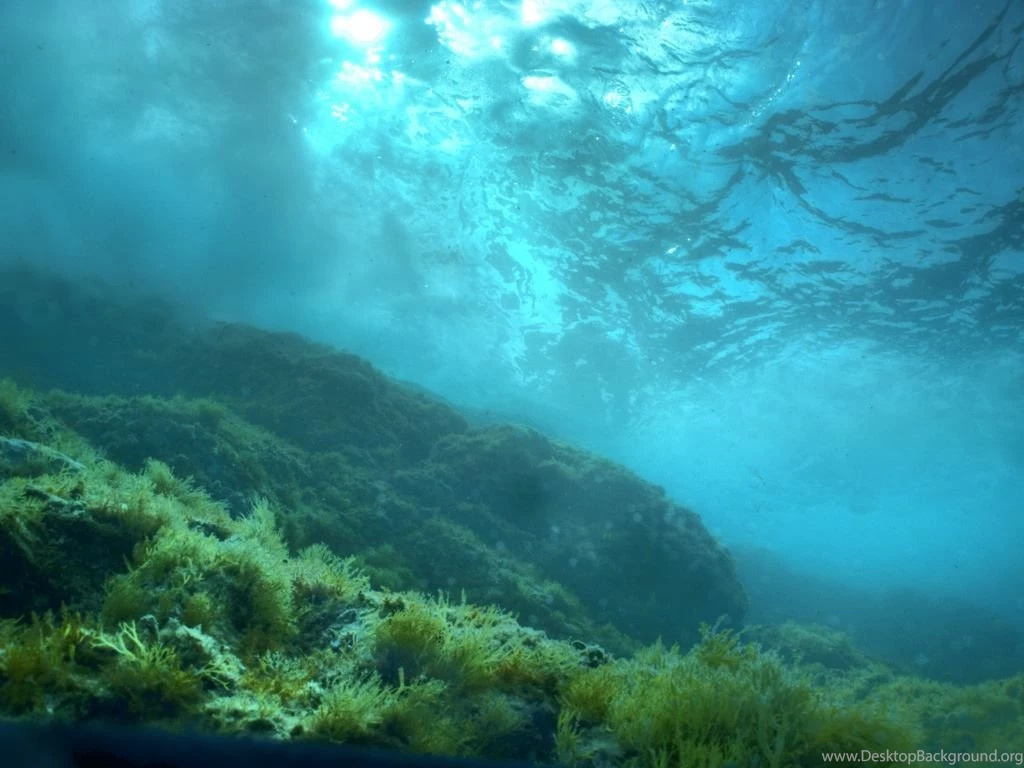 Azur Diving – William Rhamey's Underwater And Freediving ...