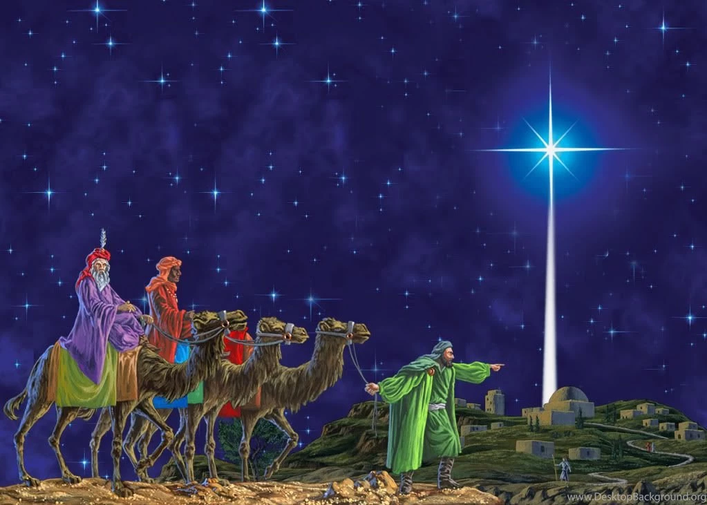 Christmas Light Kings