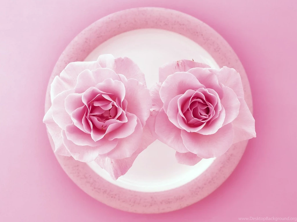 Pink Wallpapers