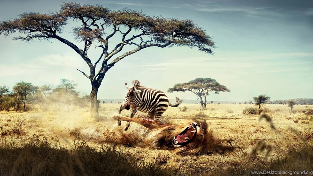 Fantasy Art, Lion, Zebras, Africa, Animals, Savannah Wallpapers HD