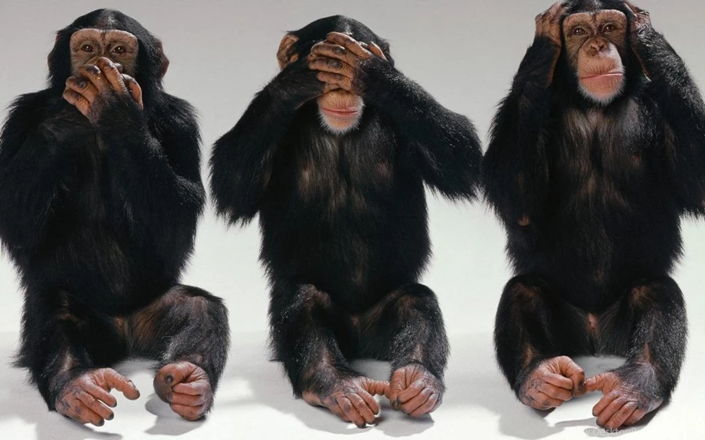 SPEAK NO EVIL SEE NO EVIL HEAR NO EVIL WALLPAPER   (