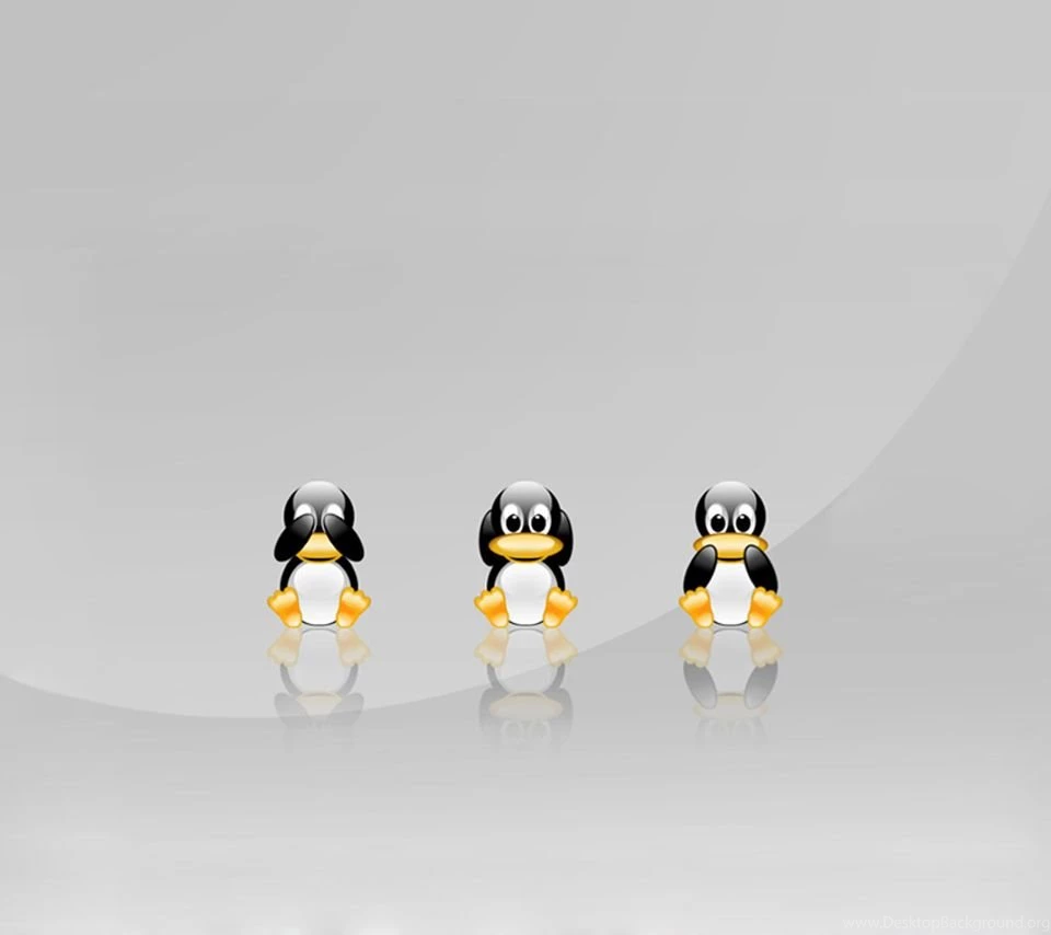 No Evils Penguins Flikie Wallpapers